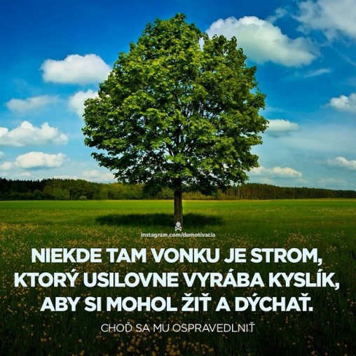 Niekde tam vonku je strom, ktorý usilovne vyrába kyslík, aby si mohol žiť a dýchať. Choď sa mu ospravedlniť.