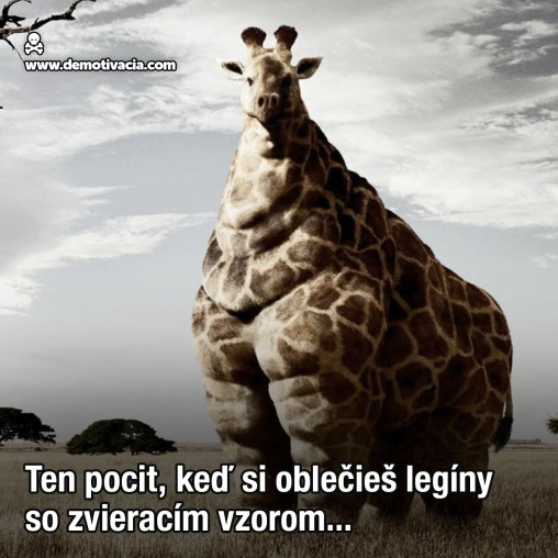 Ten pocit, keď si oblečieš legíny so zvieracim vzorom