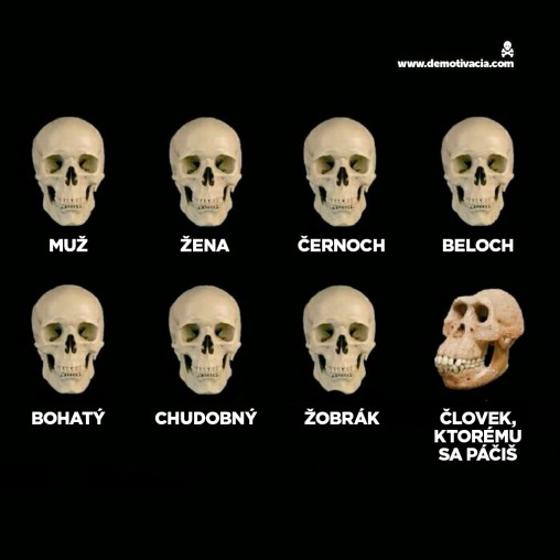 Demotivačná evolúcia