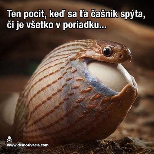 Ten pocit, keď sa ťa čašník spýta, či je všetko v poriadku