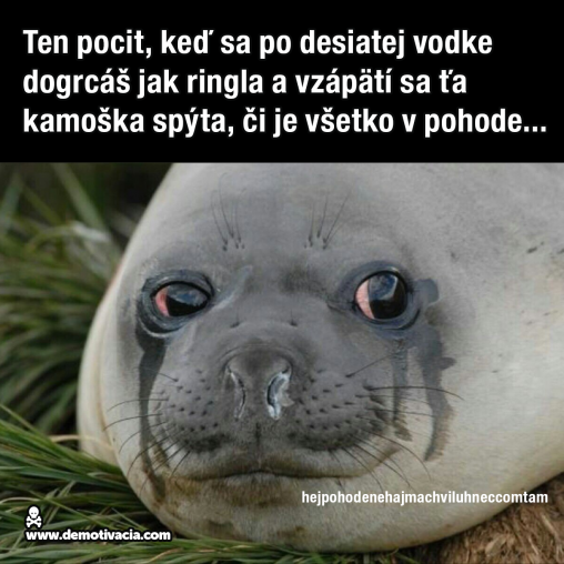 Ten pocit, ked sa po desiatej vodke dogrcáš jak ringla a vzápätí sa ťa kamoška spýta, či je všetko v pohode...